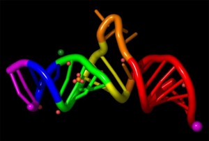 RNA