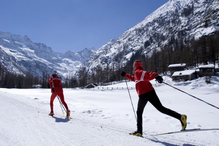 Due persone praticano lo sci nordico