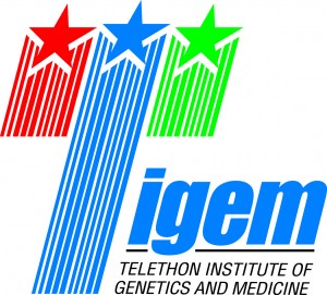 Logo Tigem