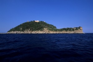 L'Isola di Gallinara