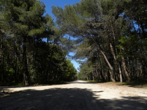 Il Villaggio Ge.Tur. di Lignano Sabbiadoro (Udine) ospiterà anche quest'anno le Manifestazioni Nazionali UILDM