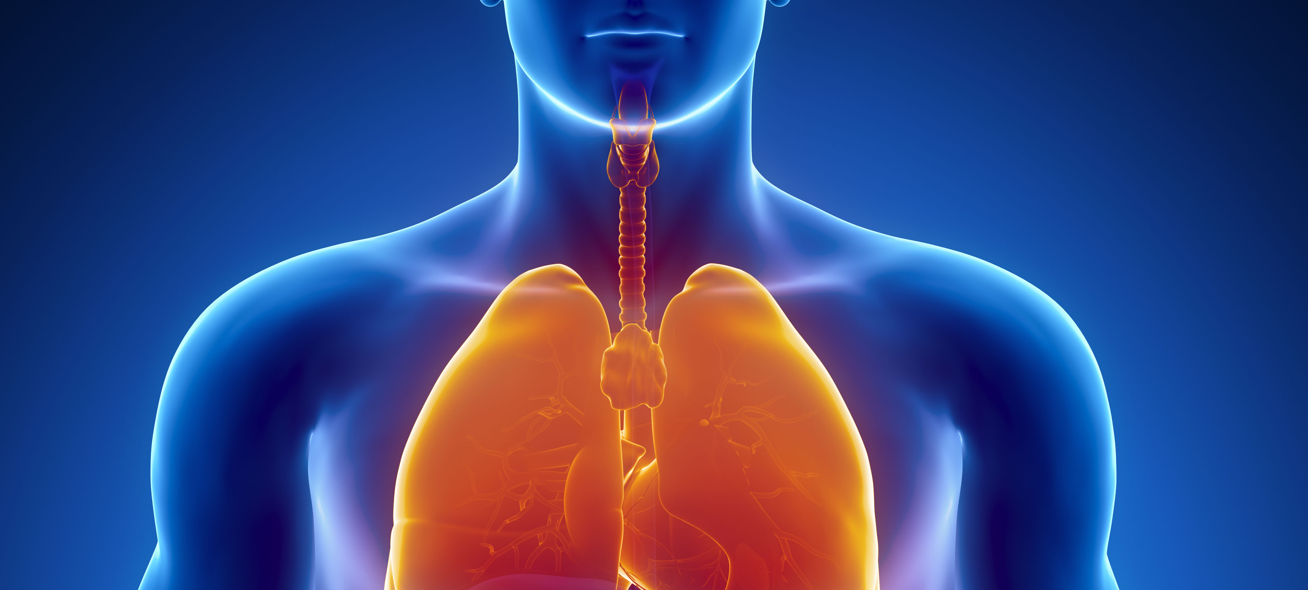Причины дыхательных заболеваний